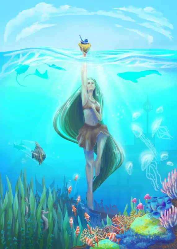 Bow Seat Ocean Awareness Contest 2026