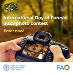 FAO International Day of Forests Photo Contest 2025