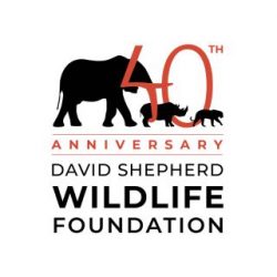 Global Canvas Children's Art Competition 2025 by David Shepherd Wildlife Foundation