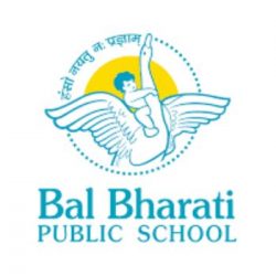 School Experience at Bal Bharati Public School