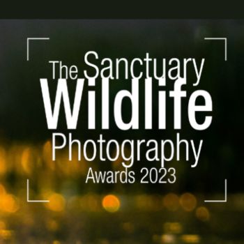 The Sanctuary Wildlife Photography Awards 2023