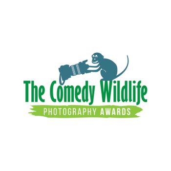 The Comedy Wildlife Photography Awards 2023 [Very Exciting Merchandise and Trophies as Prizes]: Submit Entries by Aug 27!