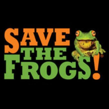 Save The Frogs Art Contest 2023