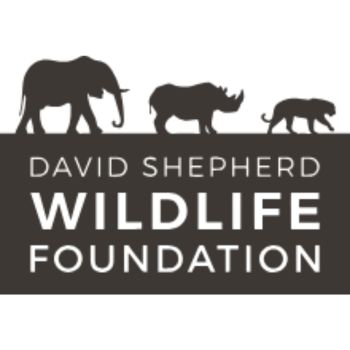 Global Canvas 2024 Children's Art Competition by David Shepherd Wildlife Foundation