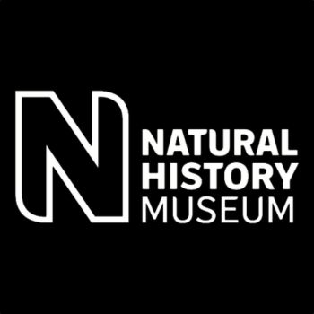 Young Wildlife Photographer of the Year Competition by Natural History Museum, London