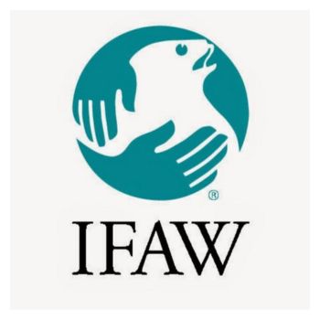 IFAW World Wildlife Day International Youth Art Contest