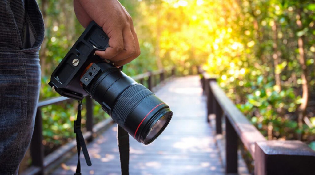British Council Photography Competition