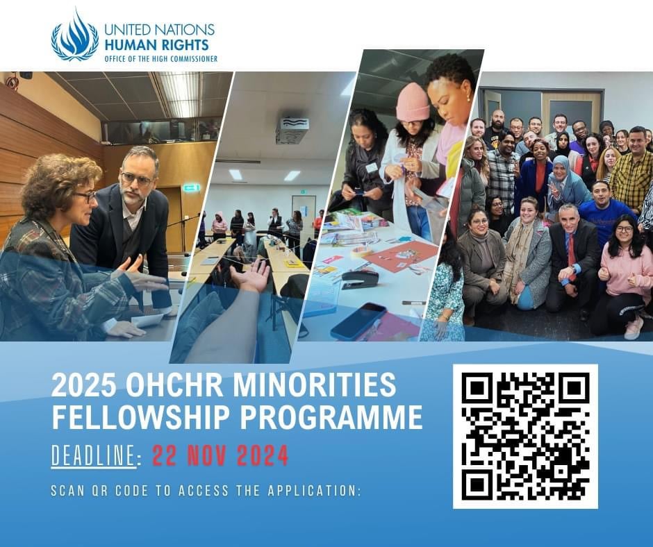 2025 OHCHR Minority Fellowship Programme