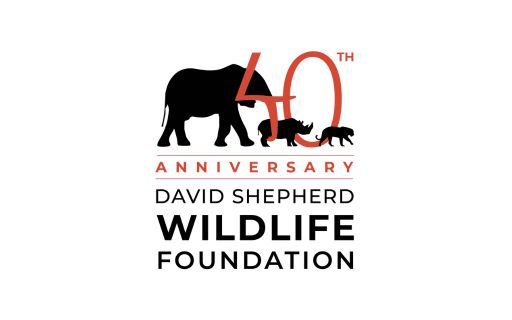 Global Canvas Children's Art Competition 2025 by David Shepherd Wildlife Foundation