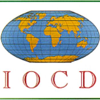 2025 Essay Contest by IOCD