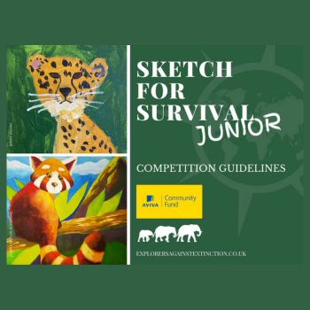 Sketch for Survival Junior